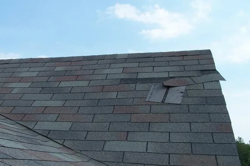 Roof Repair